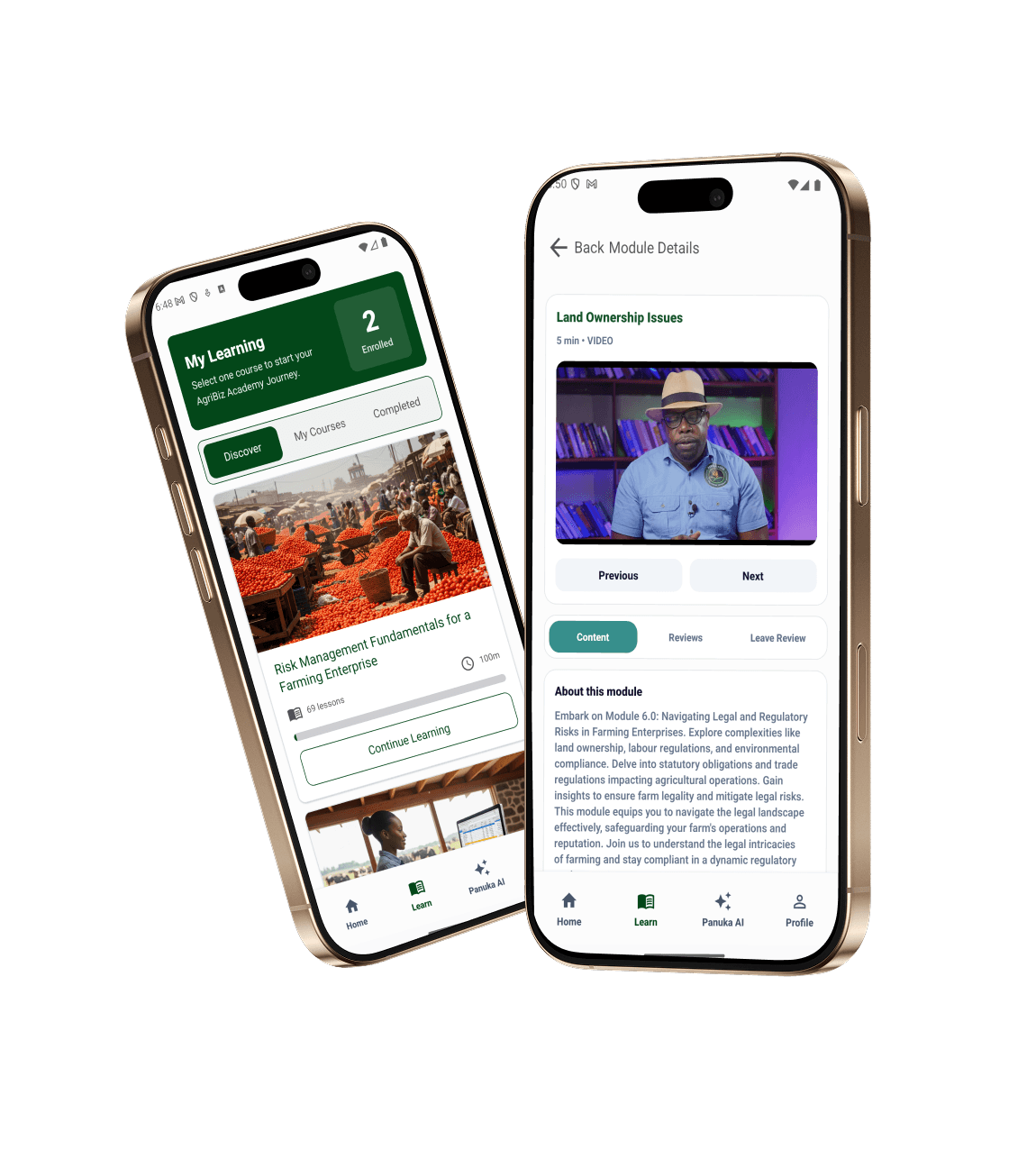 Professional African agripreneur in a hydroponic greenhouse with a digital tablet